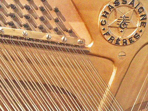 Escusalla Sonora